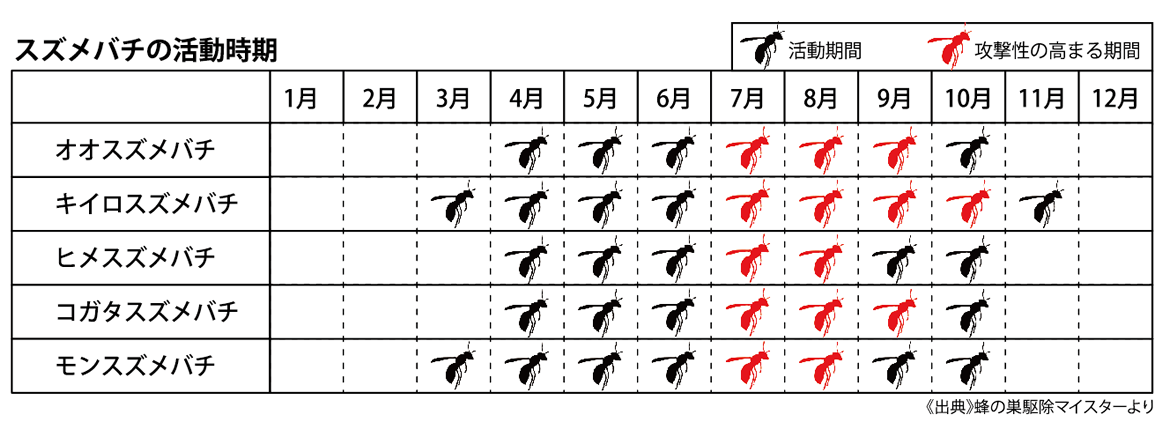 ハチ刺され対策