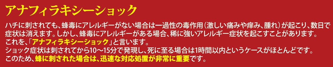 ハチ刺され対策